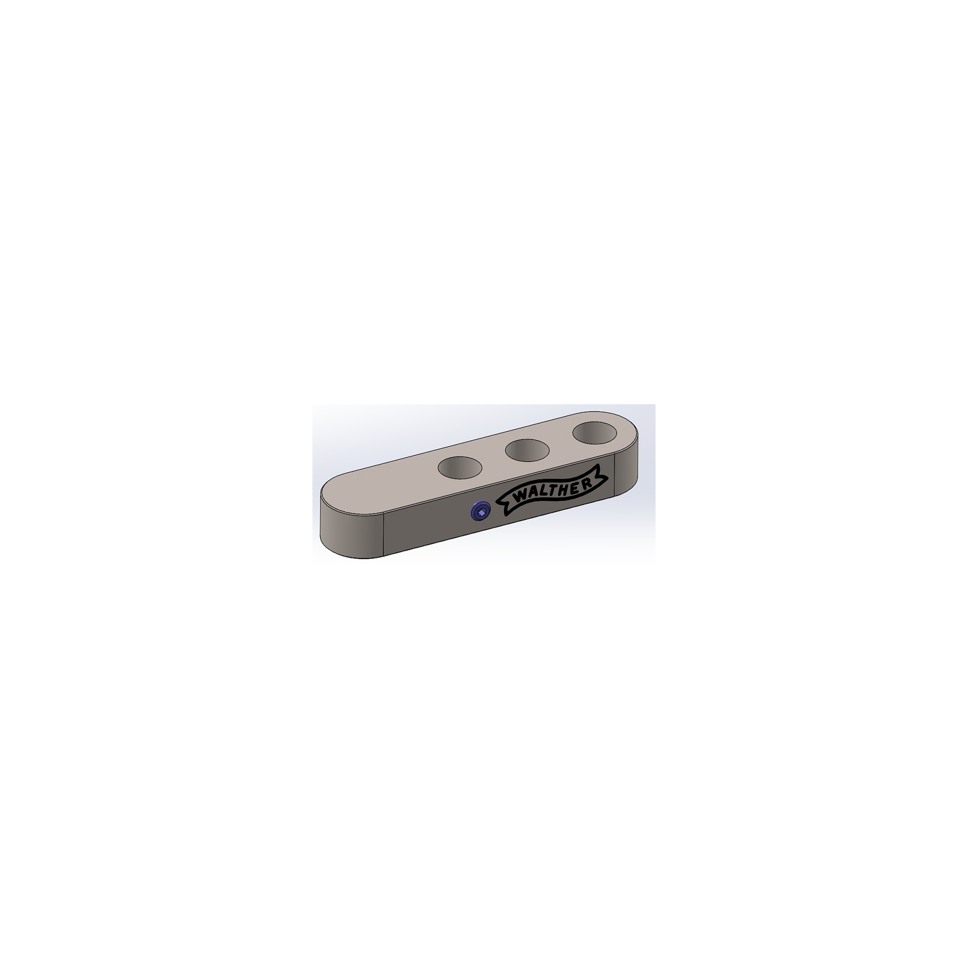 Walther Backenstangengewicht 100 g